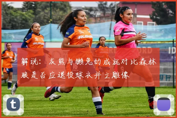 解说：灰熊与獭兔的成就对比森林狼是否应退役球衣并立雕像