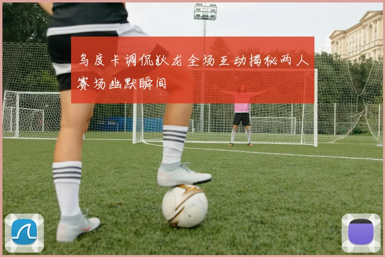 乌度卡调侃狄龙全场互动揭秘两人赛场幽默瞬间